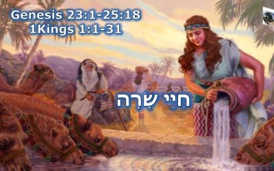 Shabbat Service 11-19-2022
